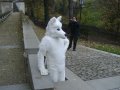 IMGP3186.JPG